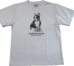 Item thumbnail for item 5752e581-f65f-4a18-8da3-37b607c0b488