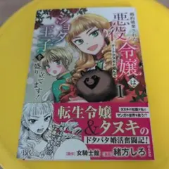 婚約破棄された悪役令嬢はチートタヌキと組んでショタ王子を盛り立てます! 1