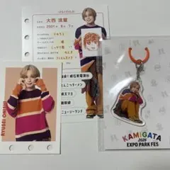 카미가타 도감 아크릴 매력 대서 유성
