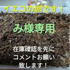 み様専用です!ネコポス発送になります！