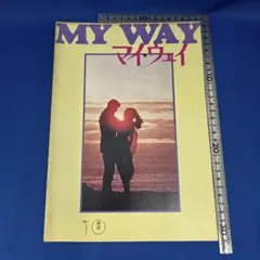 映画パンフレット MY WAY マイ・ウェイ 洋画 昭和レトロ