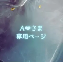 A❤︎さま専用ページ✦.˚
