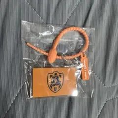 清水エスパルスのキーホルダー