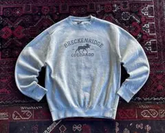 ま*ー様 USA古着 ヘビーウェイト スウェット トレーナー グレー M