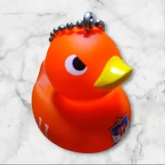 アルビレックス新潟　グッズ