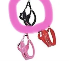 Item thumbnail for item b1d34f7c-c6a2-4f61-8b73-124699afe92f