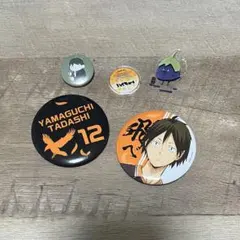 ハイキュー 缶バッジ×動物アクスタ 山口セット