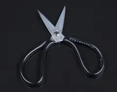 Item thumbnail for item 19cb709b-0519-4fd6-8a2f-e0ff71f9c37d