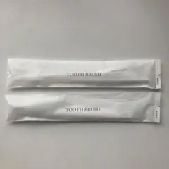 歯ブラシ 歯磨き粉セット 2本セット 旅行用