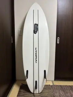 新品！栃木県南部・手渡し限定！ビーチアクセス・ソフトロングボード