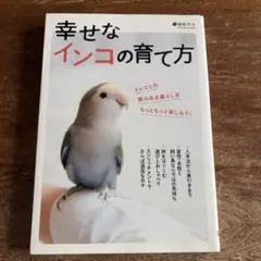 幸せなインコの育て方