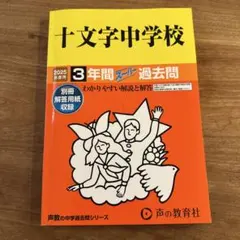 Item thumbnail for item a6fe41fe-5e69-4774-be62-750daf2f867a