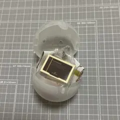 フィナンシェ(5個入) アンリ・シャルパンティエ ダブルチャームコレクション