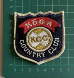 Item thumbnail for item 44538b64-066f-4747-a889-0c68bc2f71f1