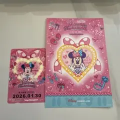 ディズニー ミニー パルパルーザ リゾートライン フリーきっぷ スタンプラリー