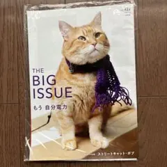 ビッグイシュー 日本版 THE BIG ISSUE JAPAN 422号 ボブ