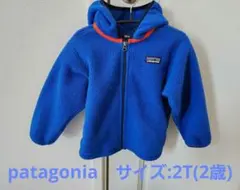 パタゴニアpatagoniaフリースジャケット フード　シンチラ