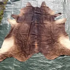 【入手困難】特大250×230★牛革ハラコラグ★グランピングお籠もりキャンプに！