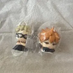 ハイキュー おねむたん 月島　日向