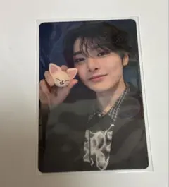 straykids SKZOO たまごっち トレカ アイエン