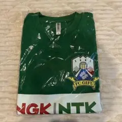 Item thumbnail for item 6890a56e-f4eb-4635-aa53-6919f34d0913