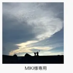 『MIKI 様専用』製品お纏めページ