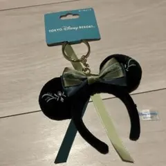 東京ディズニーリゾート キーホルダー