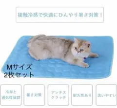 Item thumbnail for item 9d3f0da7-bd99-4d12-af1c-7d20632d0b74