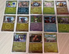 シロナのフカマル ミラー