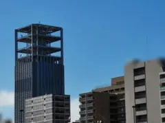 専用