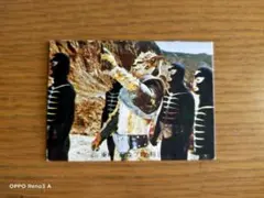 仮面ライダーカード　Ｎｏ１６６