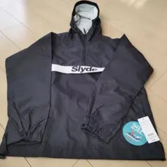 Item thumbnail for item 6503e21c-d0f0-4ccd-afd2-ee8c6809fbfe