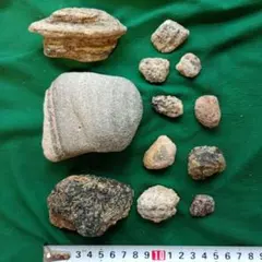 北海道厚田村産 鯨の骨化石 脊椎骨 大型 化石 - メルカリ