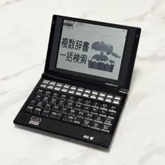 【希少】SII PASORAMA SR-G10001　クレードル