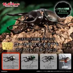 いきもの大図鑑アドバンス　コーカサスオオカブト　オンライン版