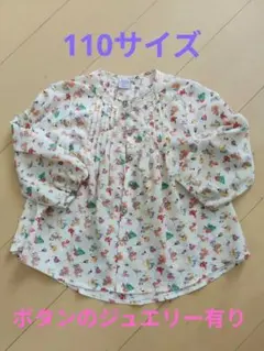 ANNA MOLINARI 花柄 長袖ブラウス 薄手 袖シフォン - メルカリ