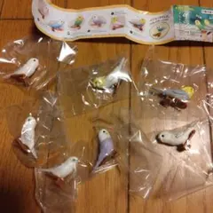 カップヌードルクリップ　セキセイインコ他小鳥さん2匹選んでくださいのサムネイル