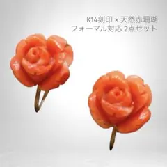 天然赤珊瑚 ネックレス イヤリング セット K14刻印 上質
