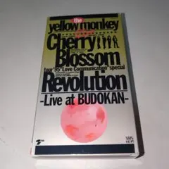 Item thumbnail for item d095d9d0-6024-44c6-83a7-917f4ff4f8b0