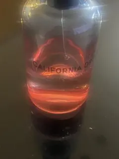 LOUIS VUITTON CALIFORNIA DREAM