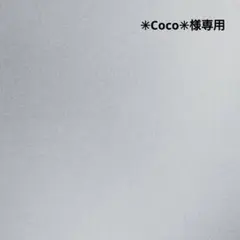 ☆✳Coco✳専用☆ハンドメイドビーズ刺繍ブローチ…さくらんぼ・クジラ