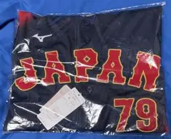 WBC 2026 侍ジャパン 亀井善行 刺繍 レプリカユニフォーム サイズ Lのサムネイル