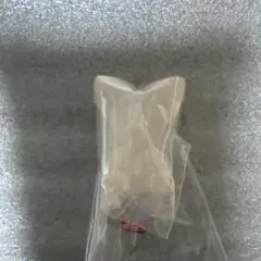 straykidsグミcharmアイエン