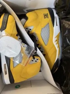 エア ジョーダン 5 レトロ TOKYO 23 T23 air jordan