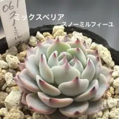 sori様 リクエスト 3点 まとめ商品