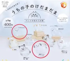 うちの子けだまだま ポメラニアン 限定アソートミックス