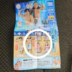 体格ブラザーズビッグボディコレクション平子さん額装キーホルダー