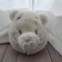 ディズニーリゾート　くまのプーさん　ホワイト　パスケース　ポシェット