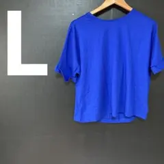 ✨激安✨AMERICANHOLIC Tシャツ カットソー　レディース L