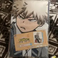 爆豪勝己　ねことひと休み　BIGクロス　一番くじ　布ポスター　猫　ネコ